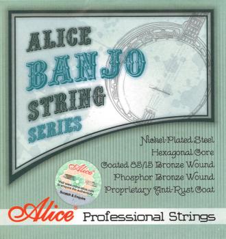 Alice Banjo Saiten AJ06